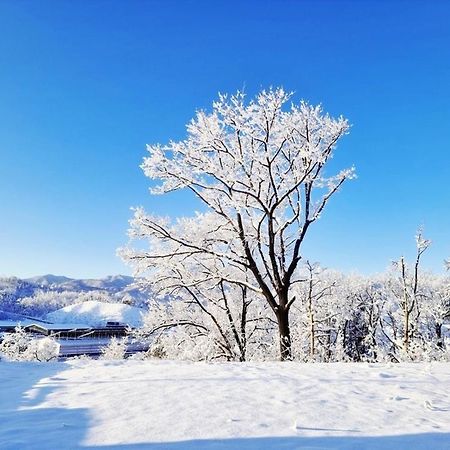 Sokcho Ulsanbawi Bed And Breakfast Εξωτερικό φωτογραφία