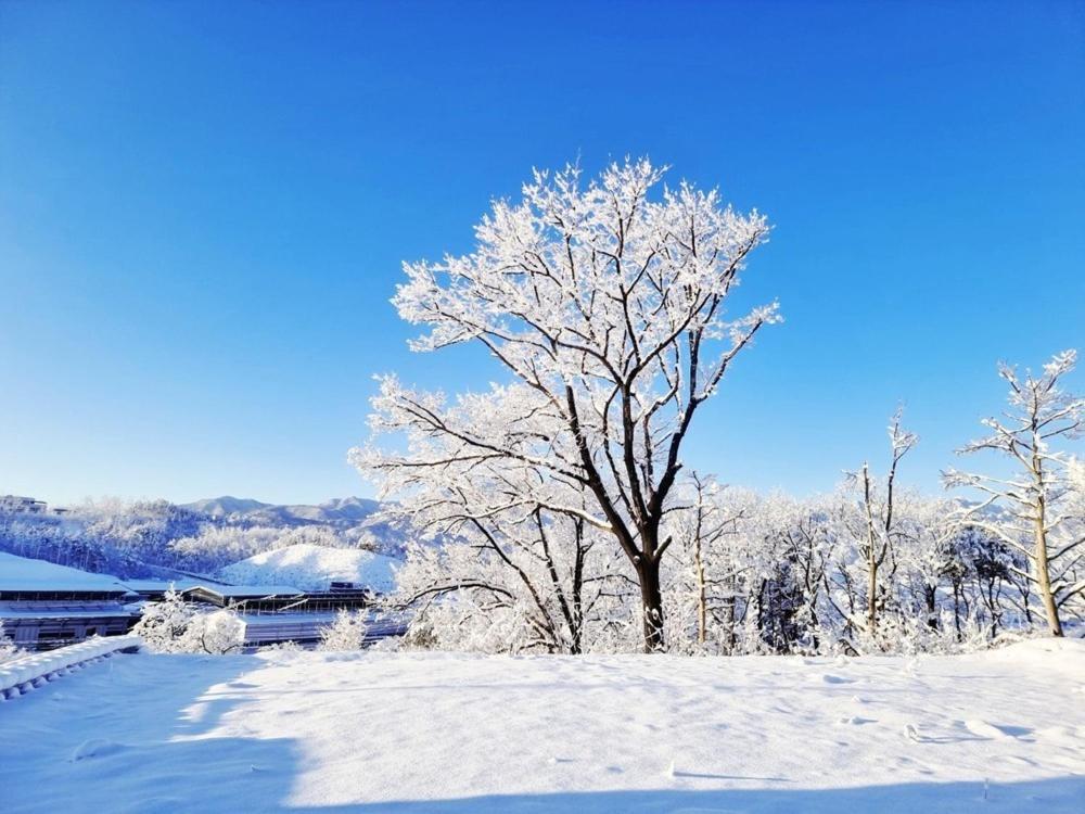 Sokcho Ulsanbawi Bed And Breakfast Εξωτερικό φωτογραφία